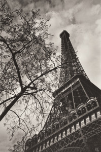 Ilse Bing, Paris, Eiffel Tower with Branches, 1933, silver gelatin print, 13 1/2 x 9 in., Scripps College, Gift of Sally Strauss and Andrew E. Tomback, Scripps College, Claremont, CA