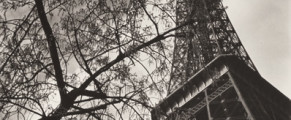 Ilse Bing, Paris, Eiffel Tower with Branches, 1933, silver gelatin print, 13 1/2  x 9 in., Scripps College, Gift of Sally Strauss and Andrew E. Tomback, Scripps College, Claremont, CA