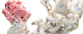 Beyond the Object: The 72nd Scripps Ceramic Annual Casto Slider Detail